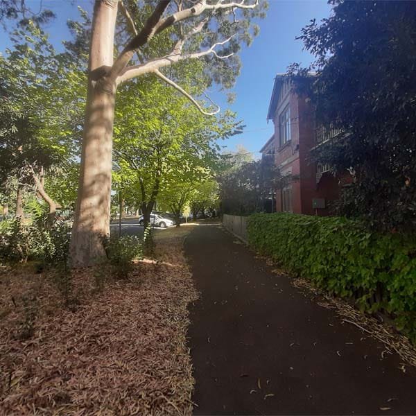 Tree-lined gravel path through parkland in Albert Park, Melbourne