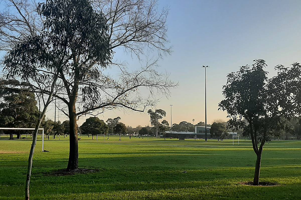 Tree-lined sports oval in Caulfield North, Melbourne