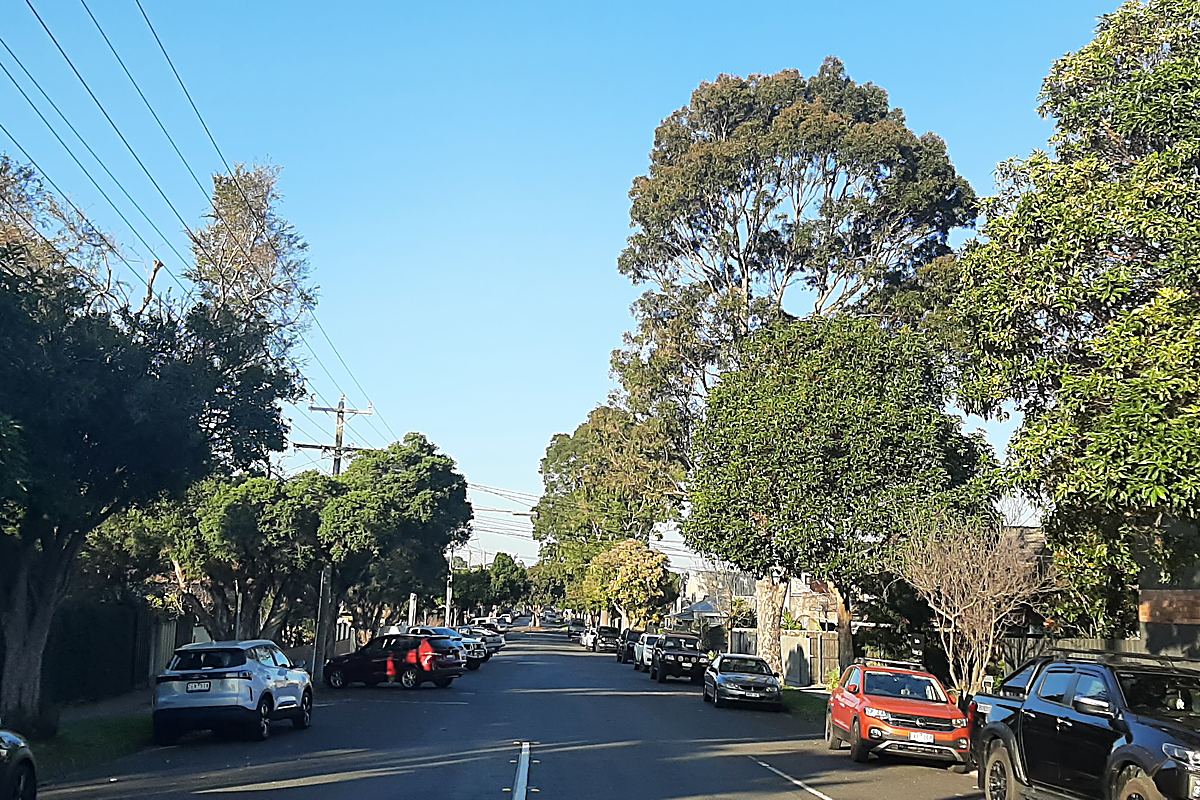 Tree-lined residential street in Caulfield South, Melbourne