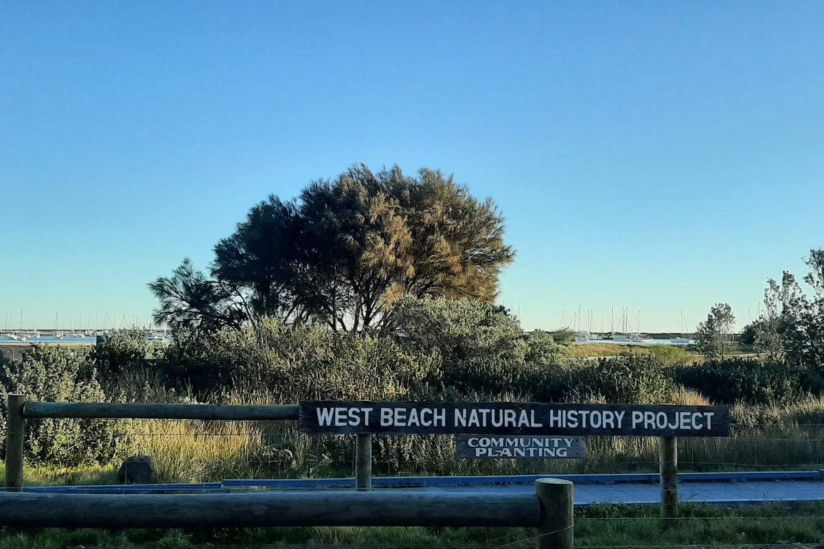 The St Kilda West foreshore path near Pier Road, Melbourne