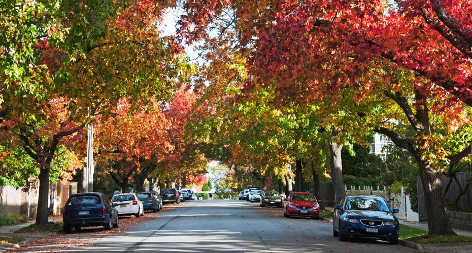 rubbish removal armadale