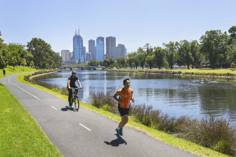 rubbish removal south yarra